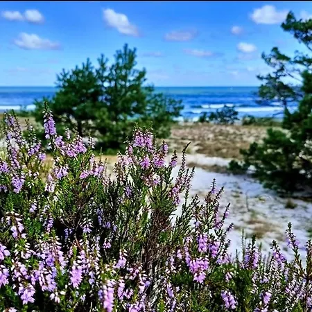 Dom wakacyjny Białogórskie Wrzosowisko Białogóra