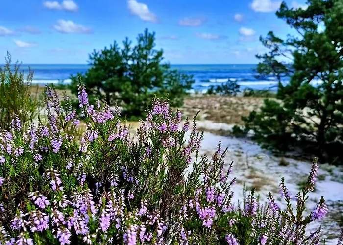 Dom wakacyjny Białogórskie Wrzosowisko Białogóra